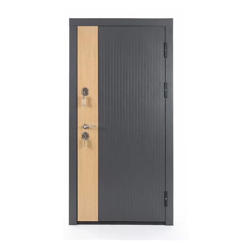 Pintu Anti Pencurian